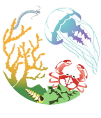 mbc logo
