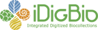 IDigBio_Logo