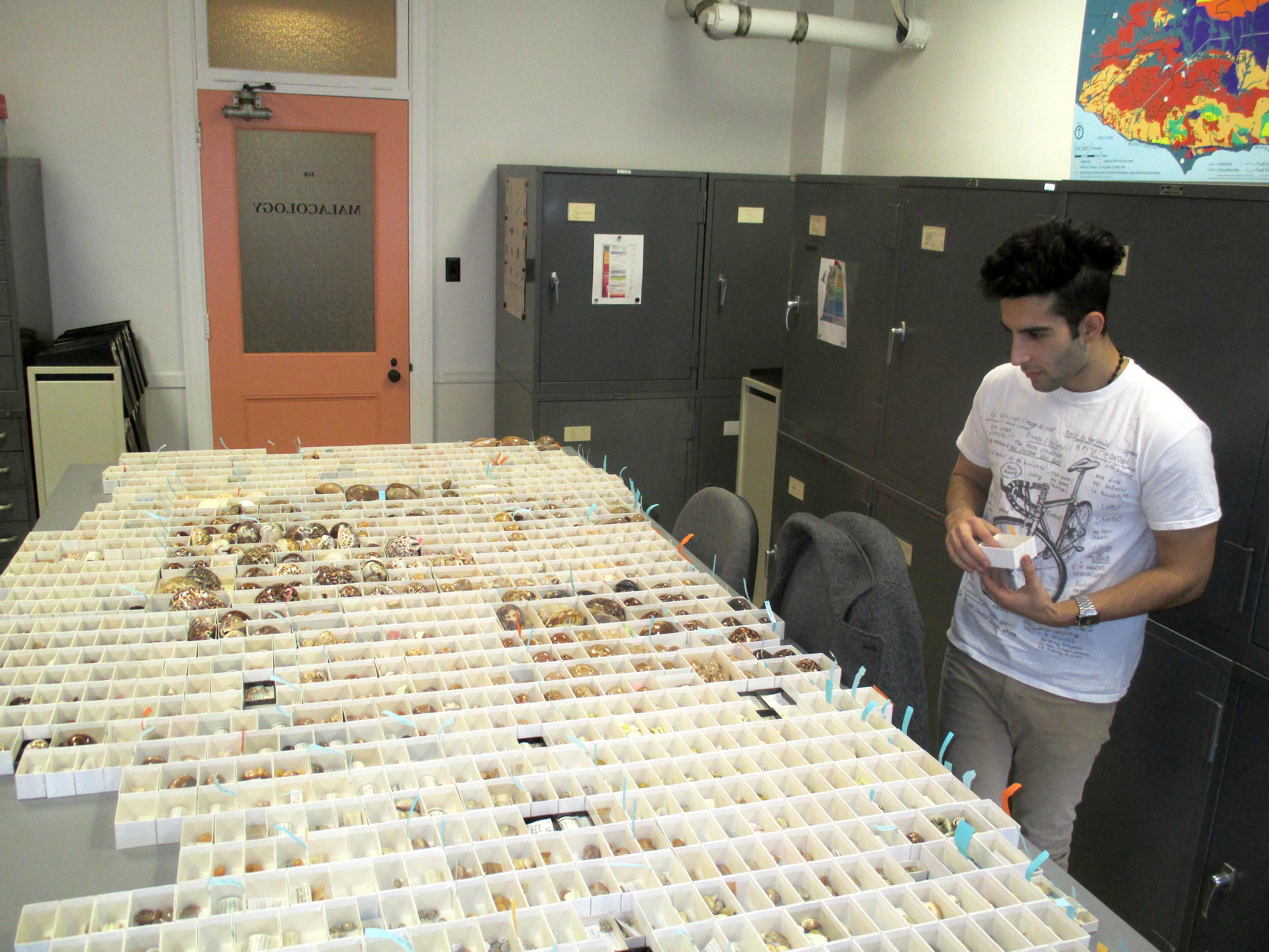 Andrew assembling hundreds of cowrie shells